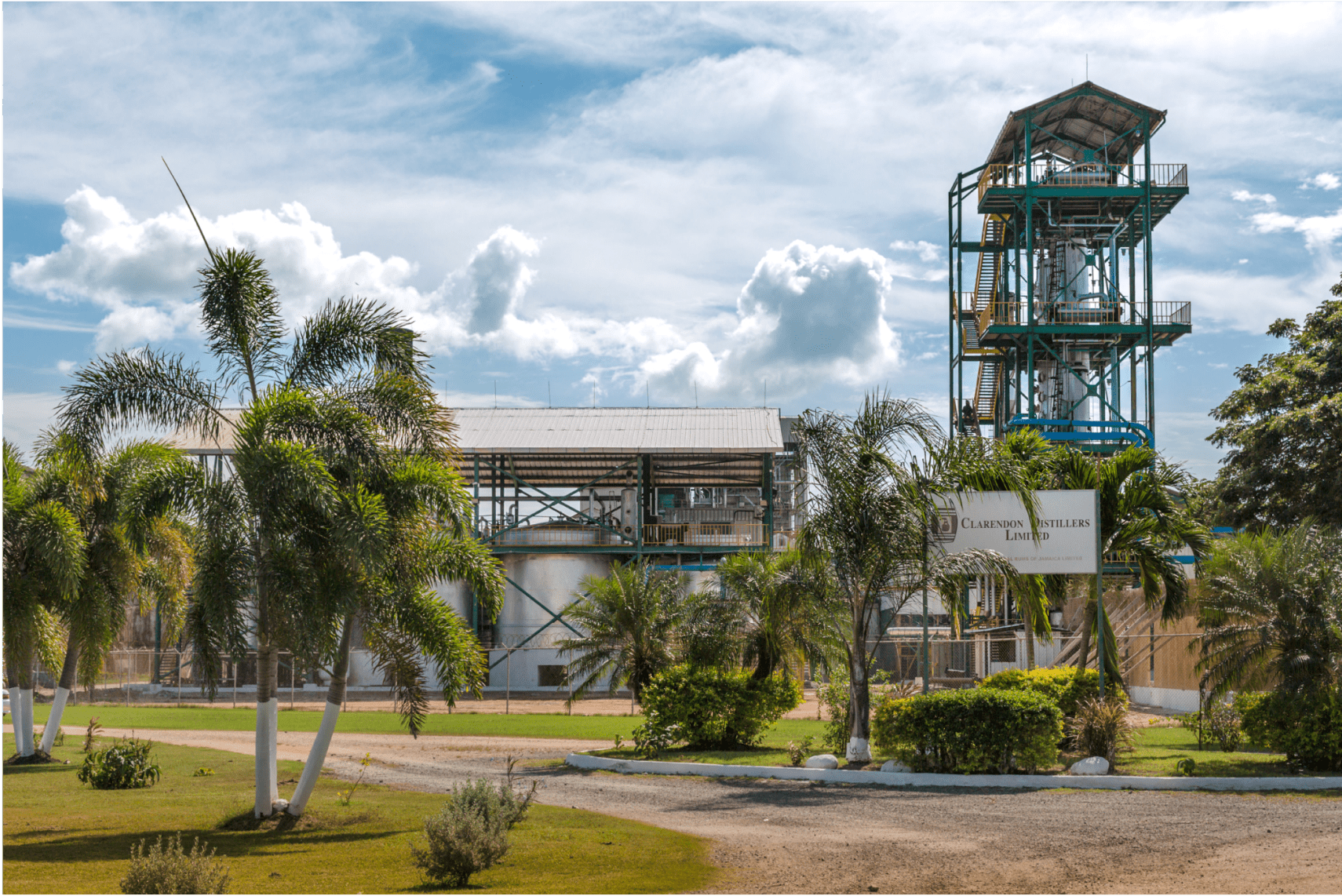 How the rum is made ? Come here in Jamaica, in Clarendon distillery, where one of the best spiced rum is elaborated.