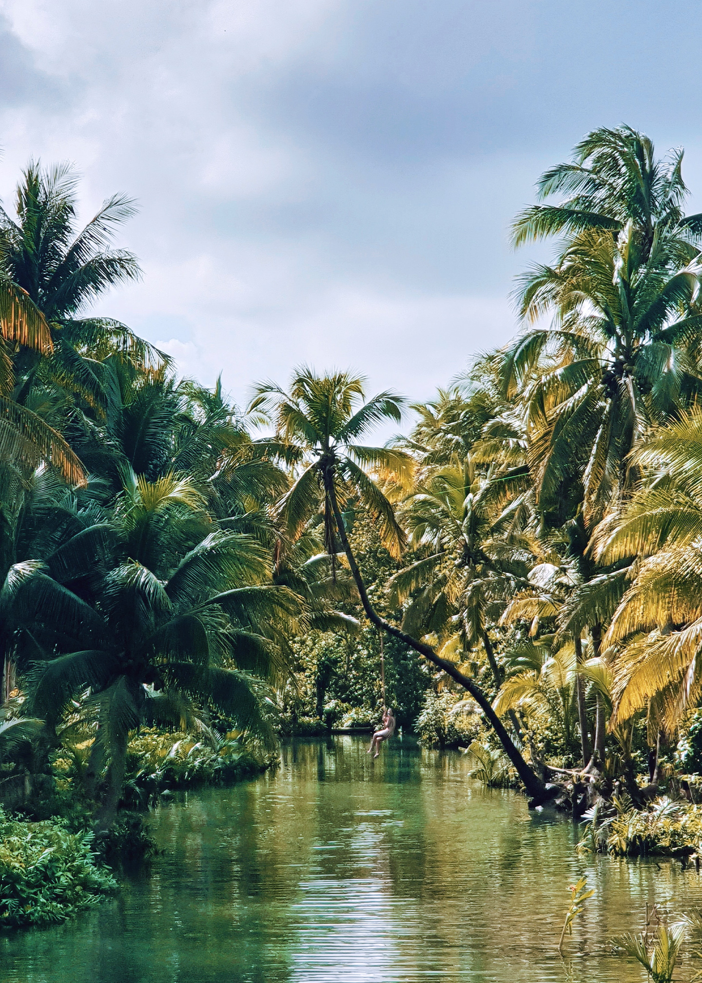 Paradise island, Jamaica, where the rum is made