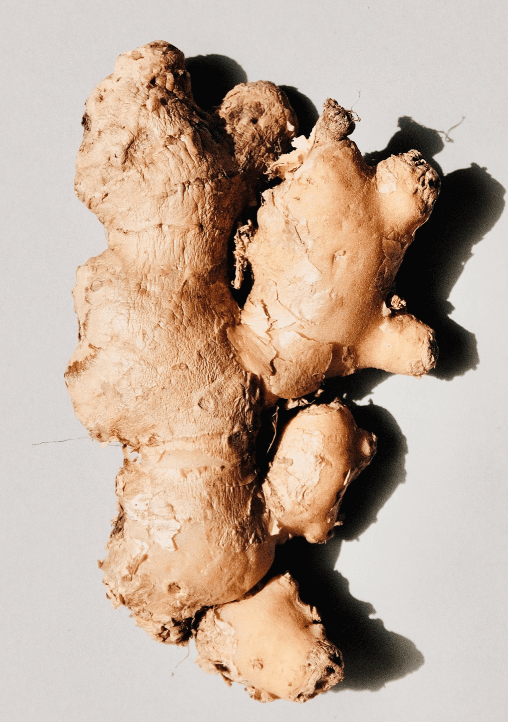 Ginger, cocktail with rum