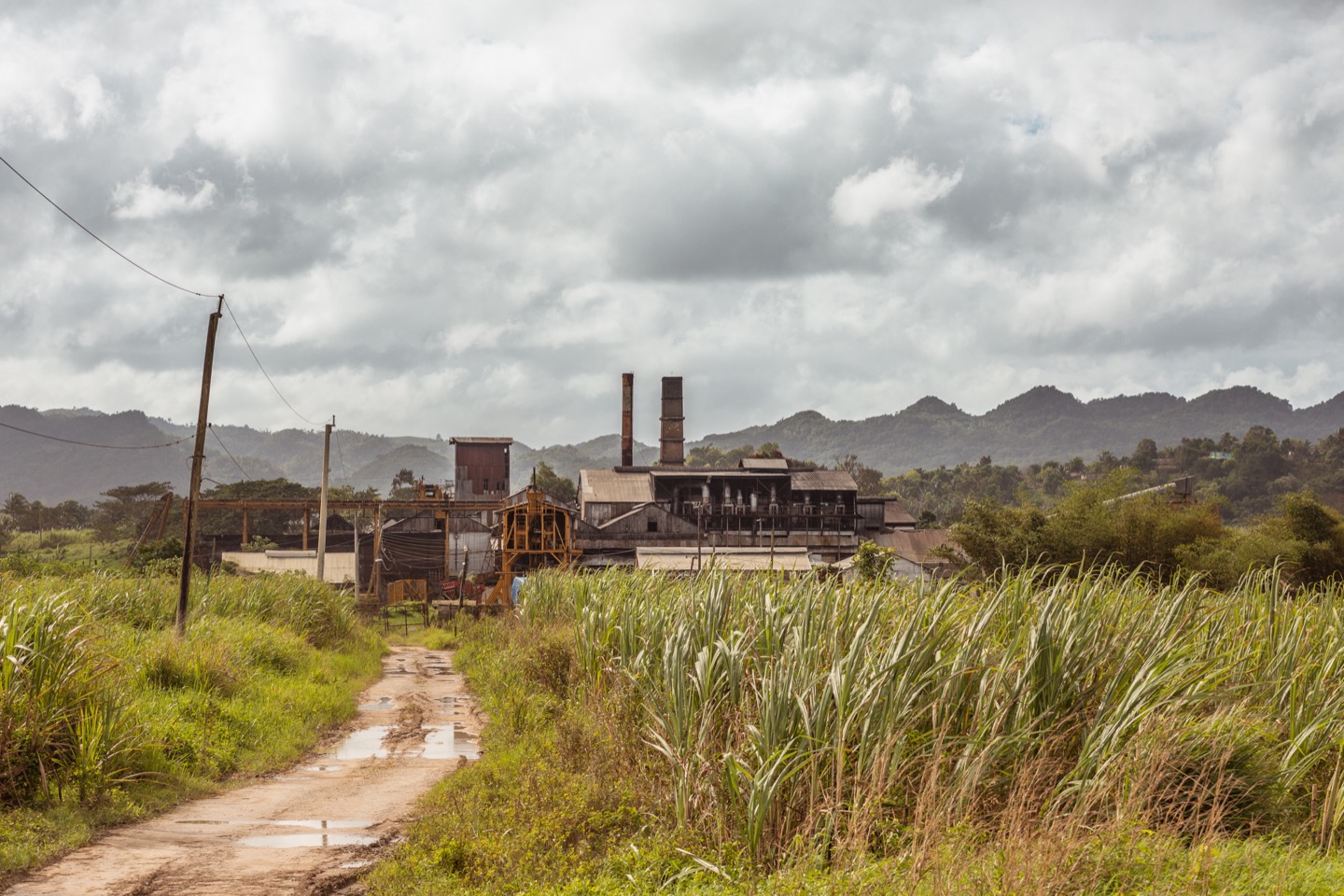 Long Pond Distillery in Jamaica where the Canerock rum is made