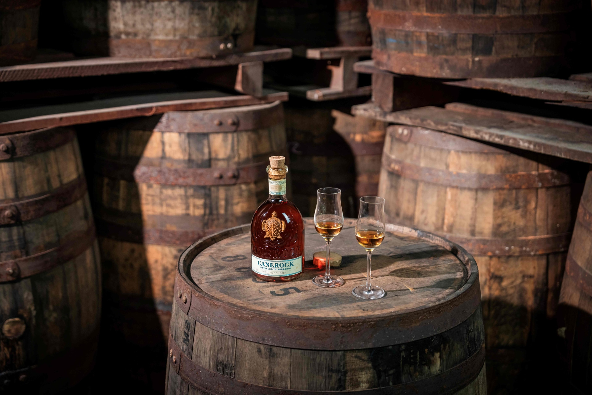 Canerock Barbados 2025 17