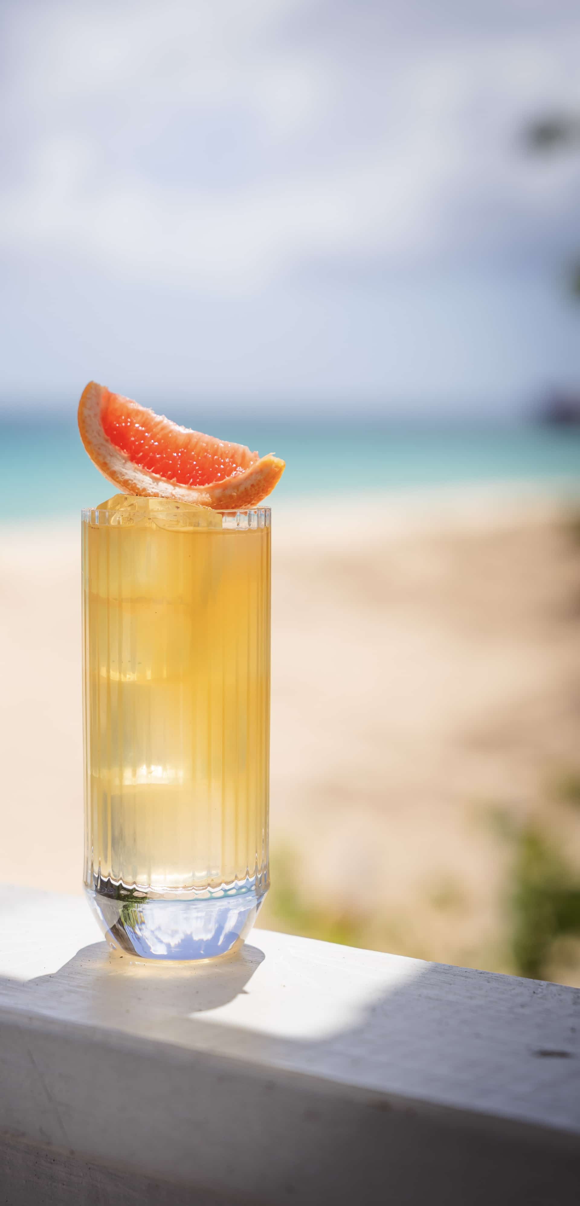 Canerock Barbados 2025 36 cropped