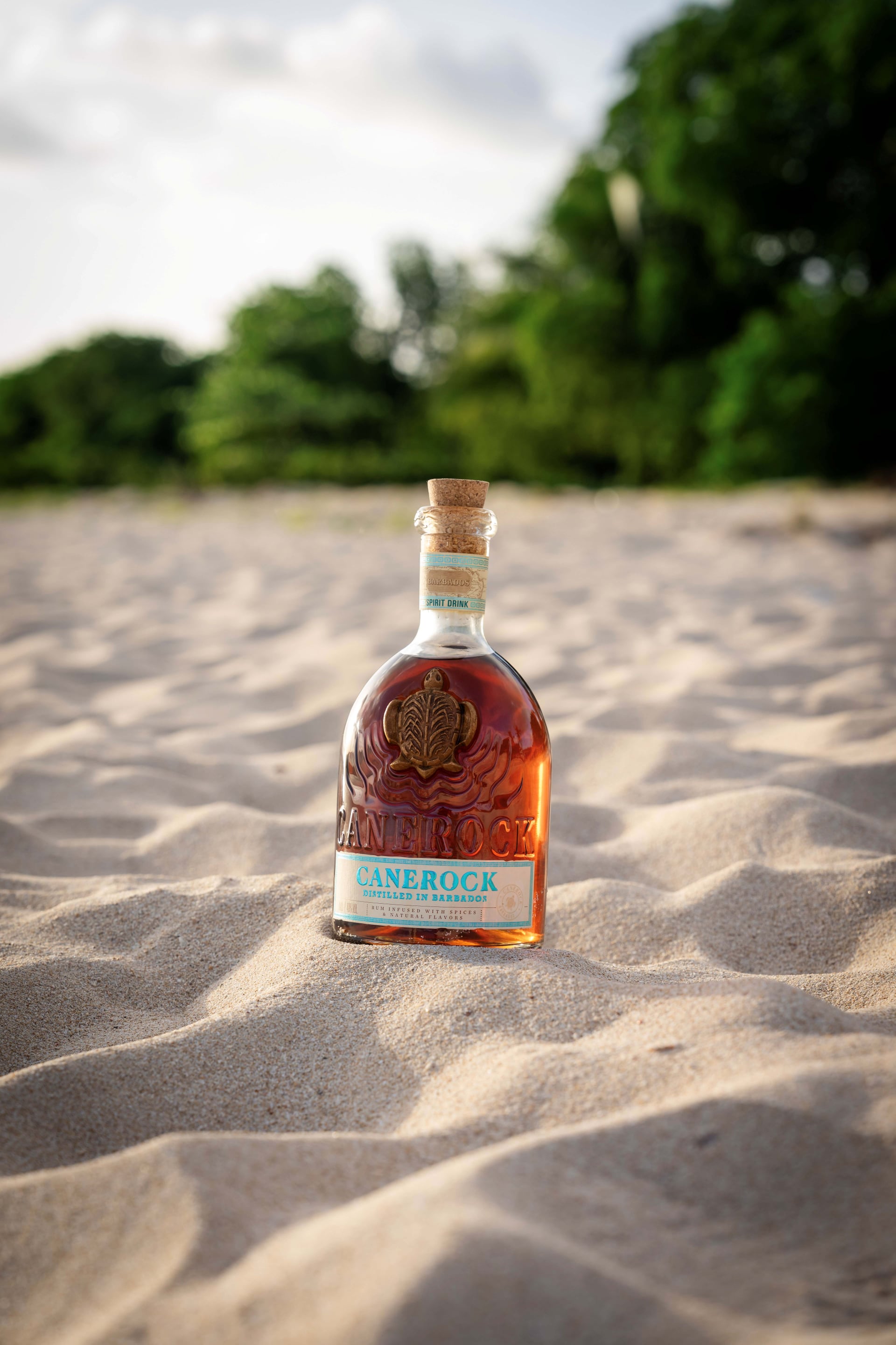 Canerock Barbados 2025 70