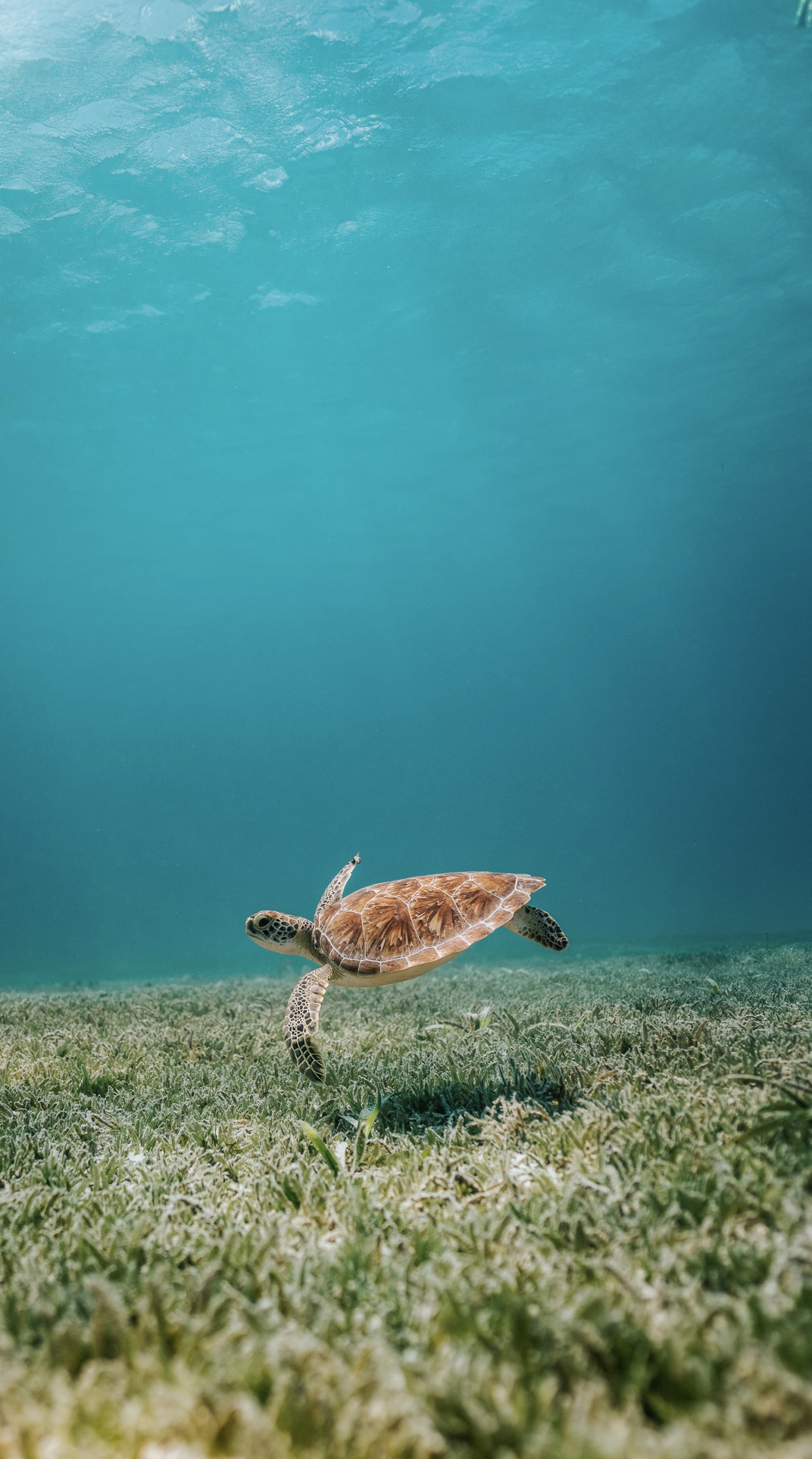 david-troeger-9xzyezpahmi-unsplash-3